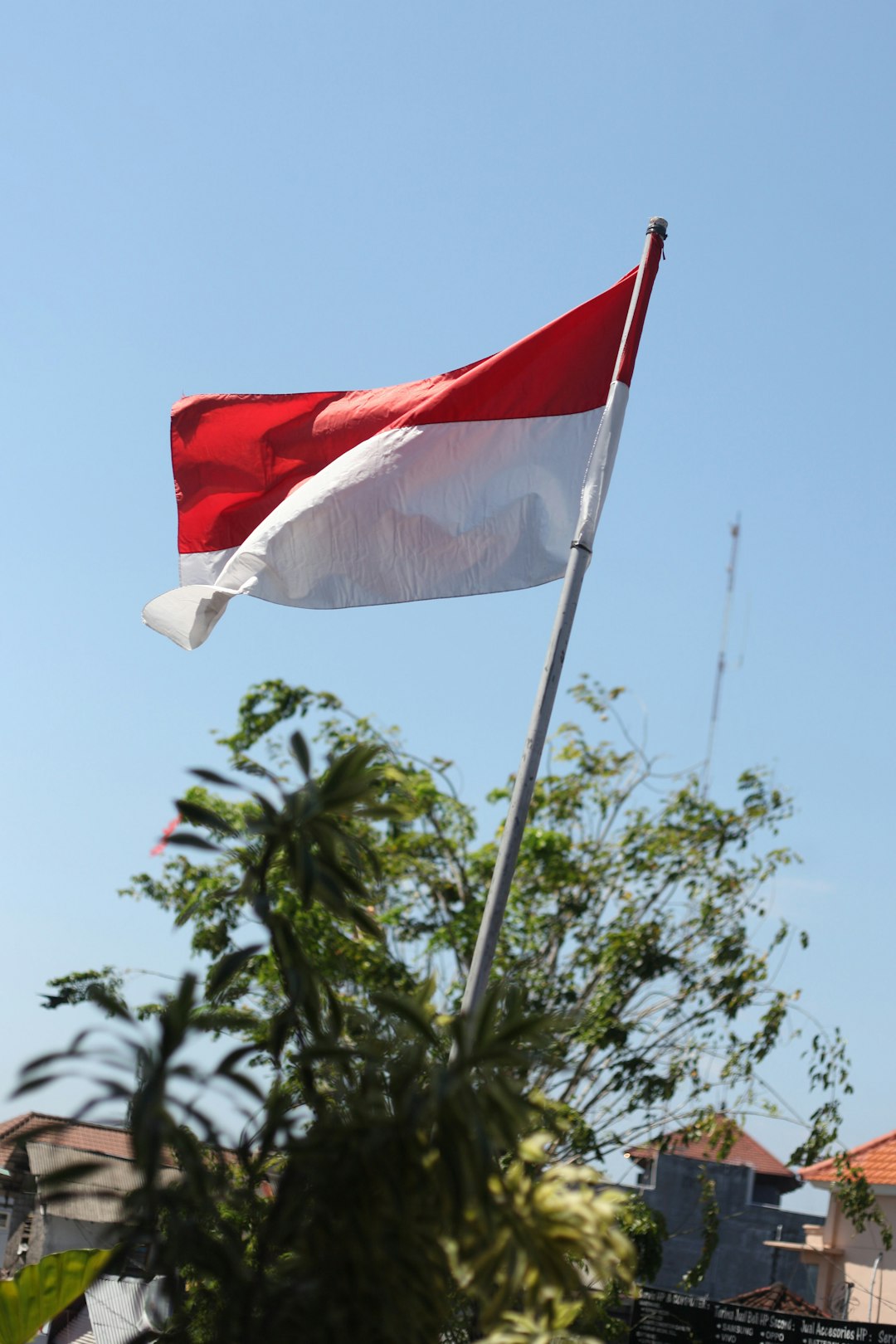 Indonesia flag